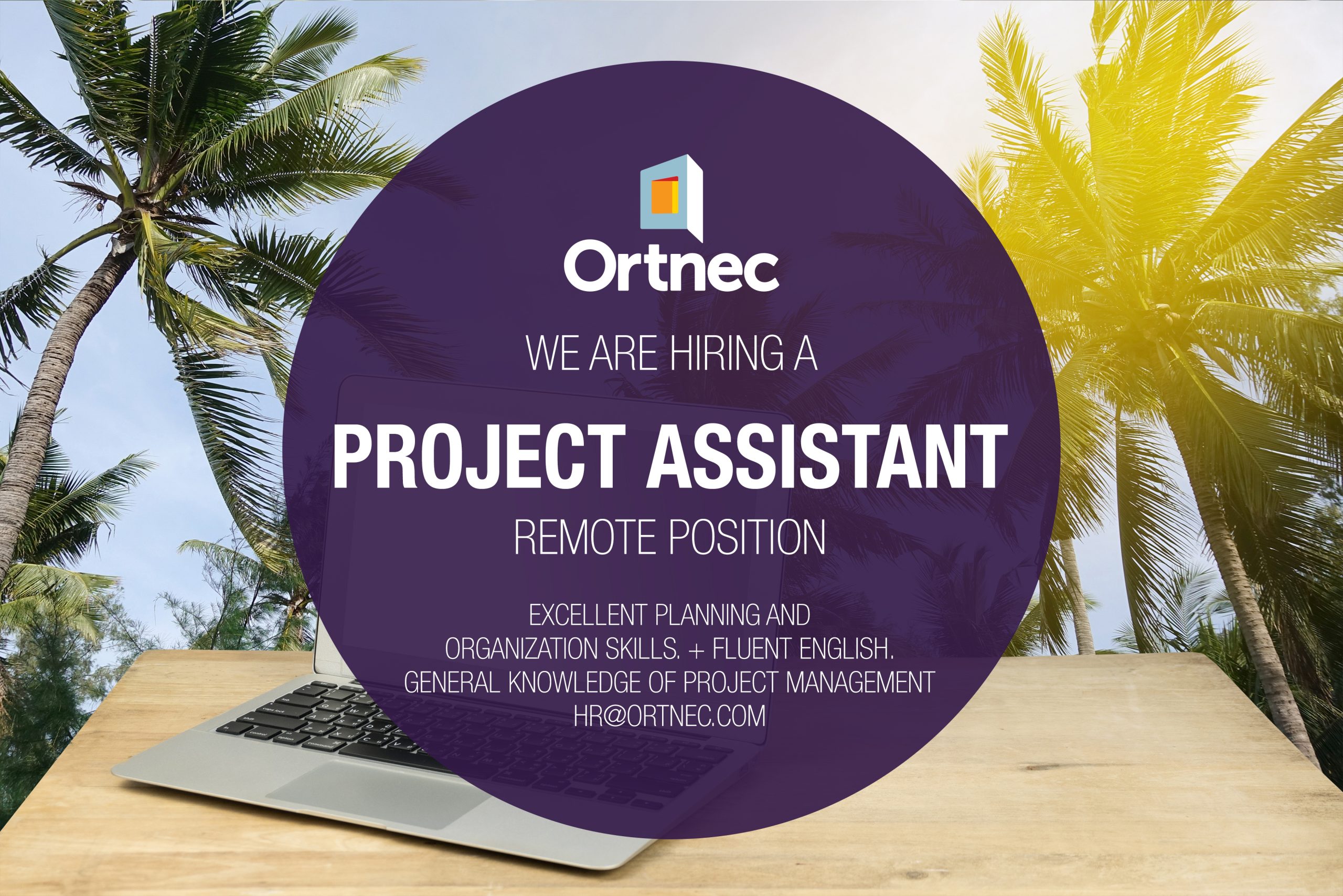 Job_Picture_Project_Assistant_remote-position